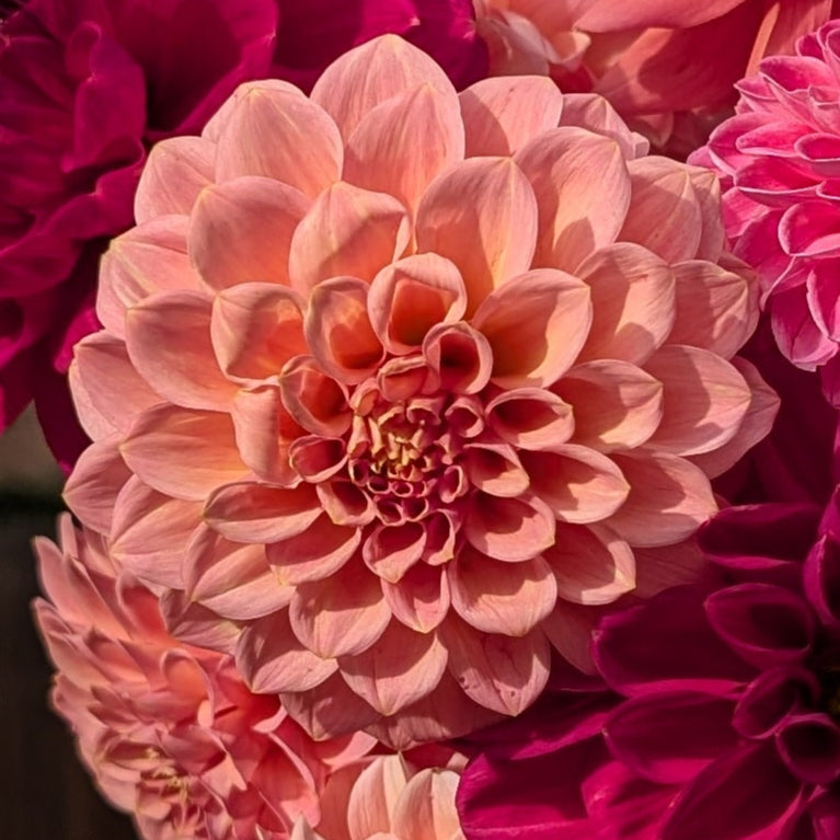 Rock Run Ashley Tuber